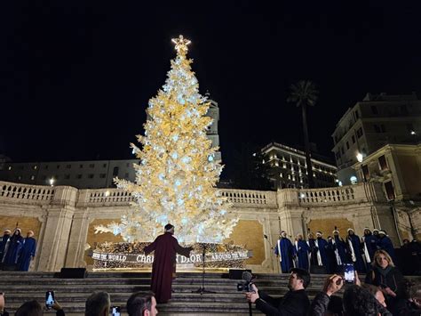 dior parigi natale albero 2018